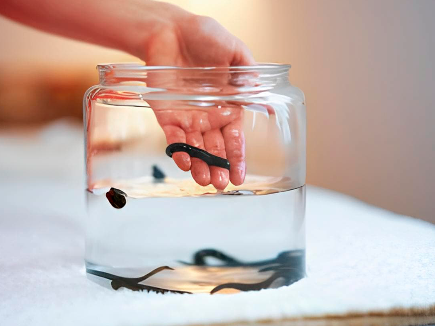 Гирудотерапия в санатории Ружанский в Беларуси