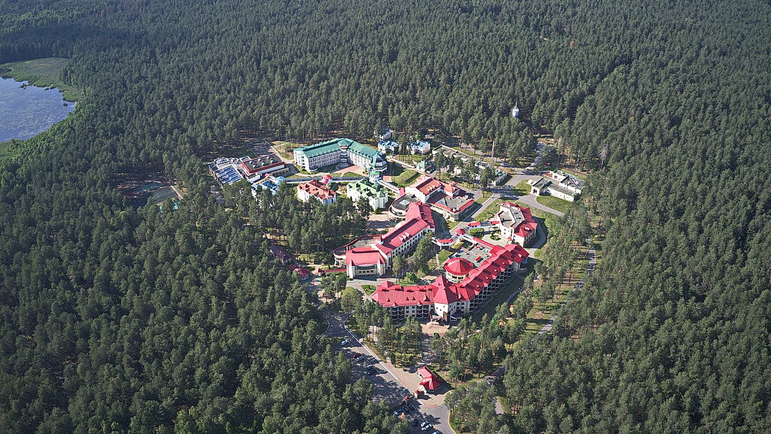 Вернуться к жизни