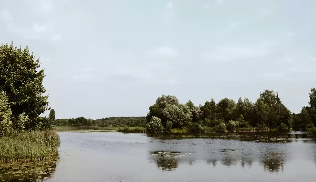 отдых в беларуси