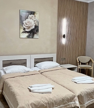 Однокомнатный двухместный СТАНДАРТ ПЛЮС (ДАБЛ плюс) в санатории Ружанский в Беларуси