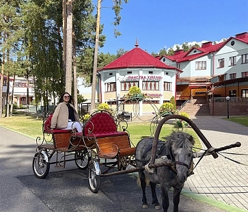 Катание в карете, запряженной пони